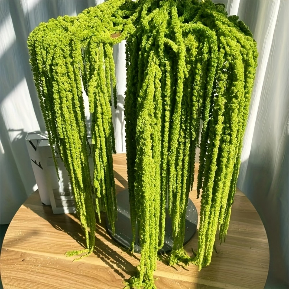 4 Piece Set Artificial Amarant - Monstera Adansonii review and price