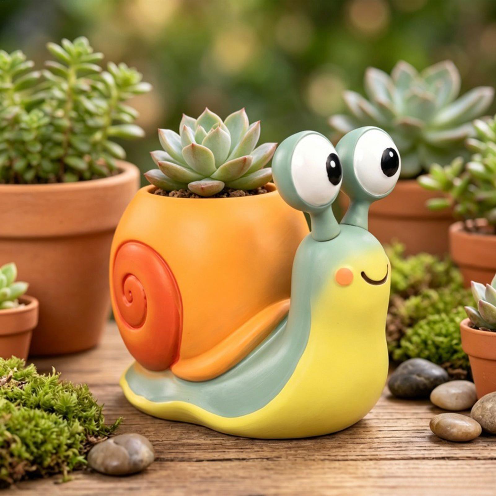 Snail Shape Flower Pot Snail f - Echeveria Succulent review and price