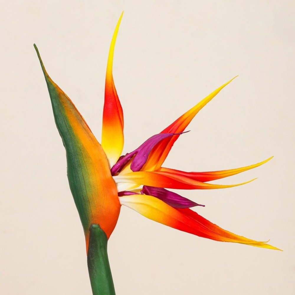 New Long Stem Artificial Bird  - Bird Paradise Strelitzia review and price
