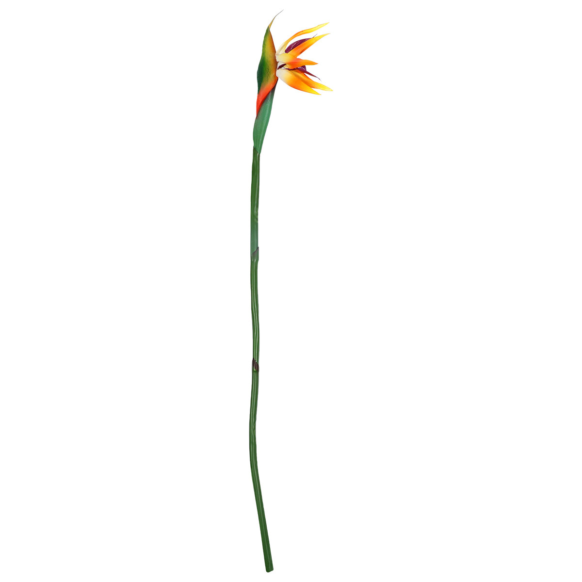 Artificial Bird of Paradise Fl - Bird Paradise Strelitzia review and price