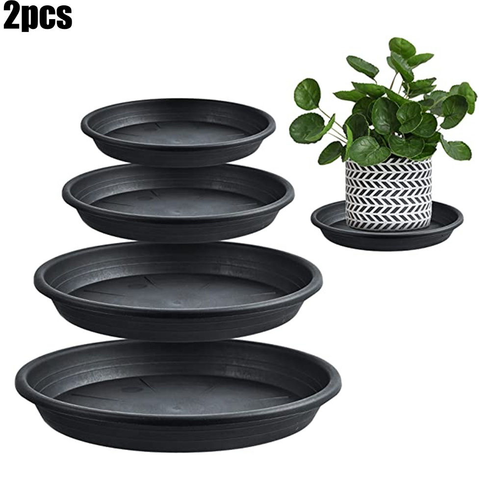 2pcs Plant Trays Round Succule - Echeveria Succulent review and price