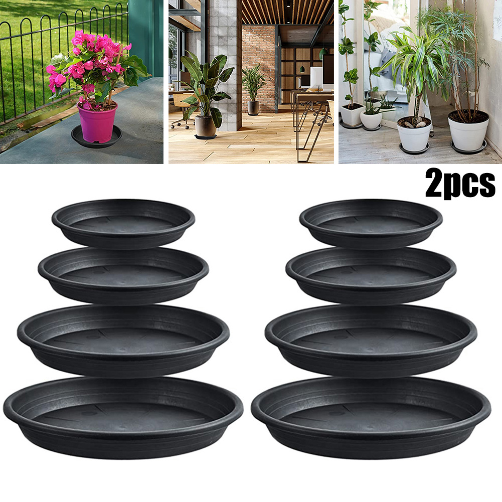 2pcs Plant Trays Round Succule - Echeveria Succulent review and price