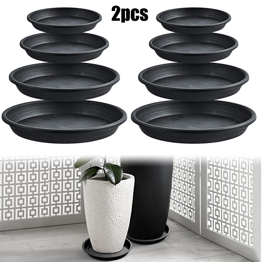 2pcs Plant Trays Round Succule - Echeveria Succulent review and price