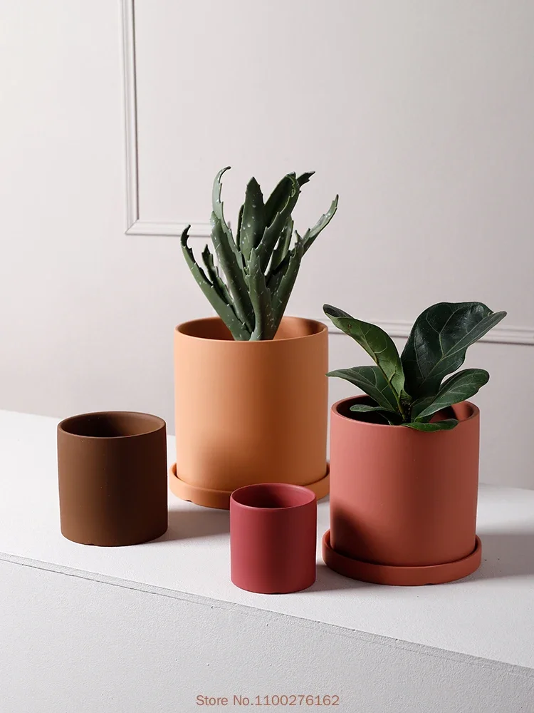 1pc New Pure Color Ceramic Flo - Echeveria Succulent review and price