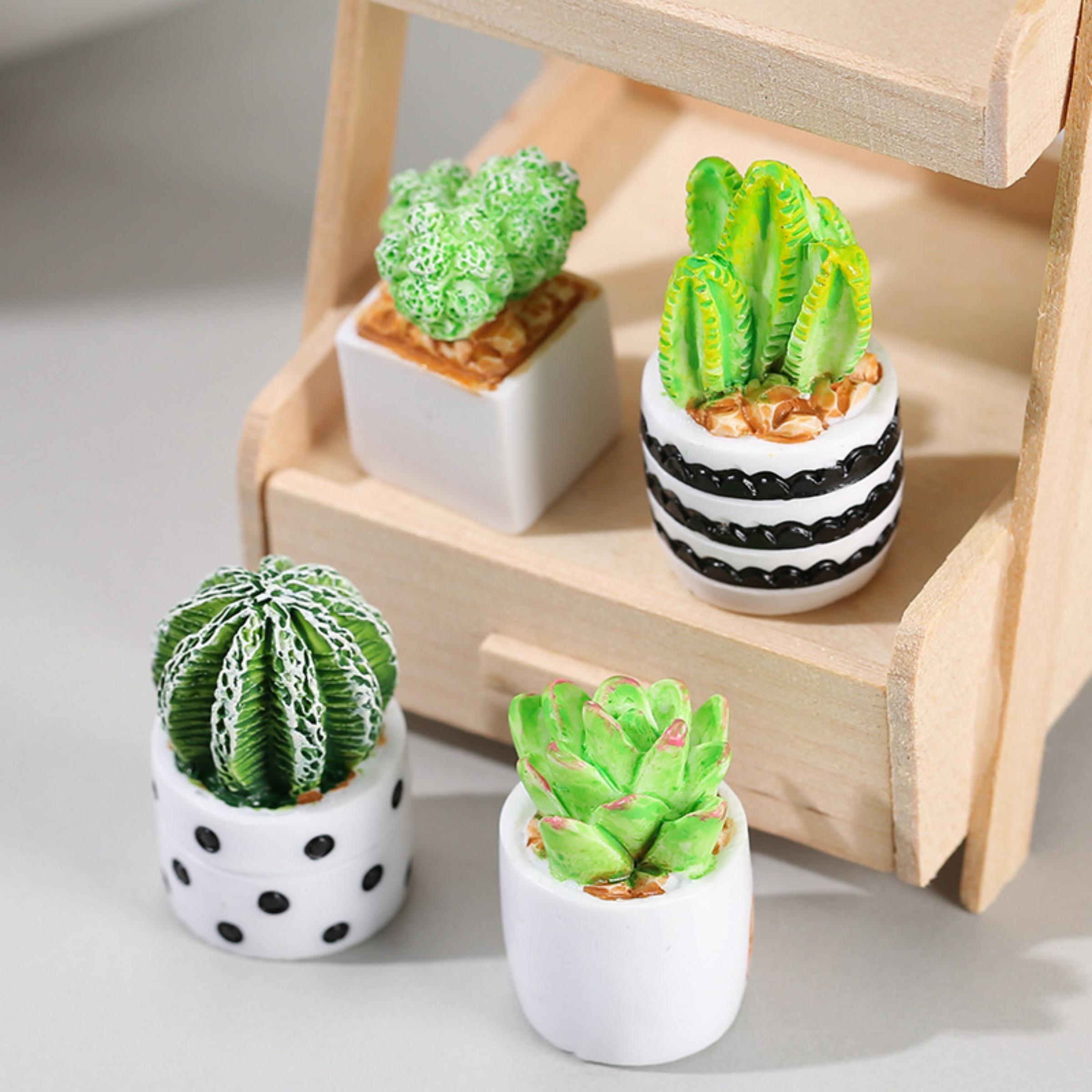 4-Piece Set of Cactus Succulen - Echeveria Succulent review and price