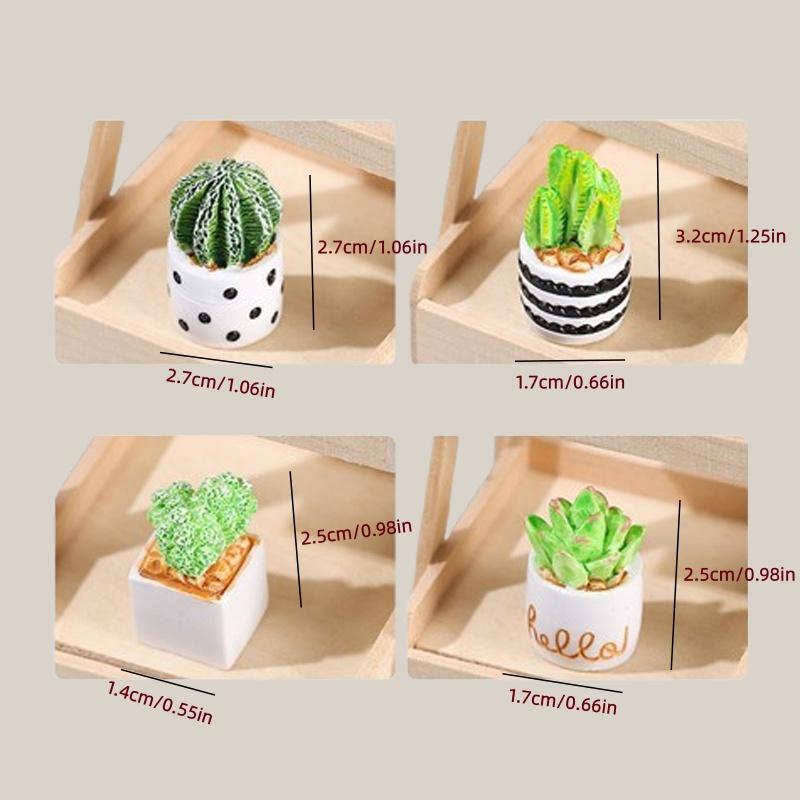 4-Piece Set of Cactus Succulen - Echeveria Succulent review and price