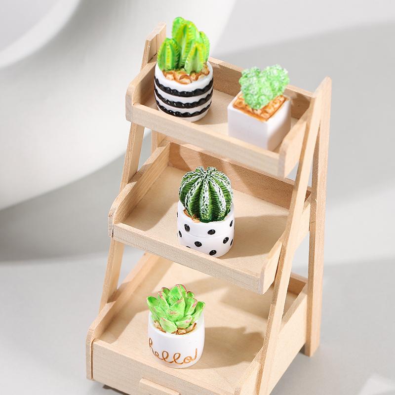 4-Piece Set of Cactus Succulen - Echeveria Succulent review and price